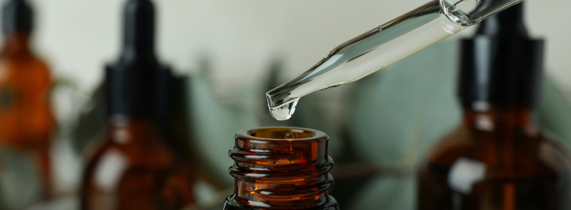 Experience the <b>Magic</b>