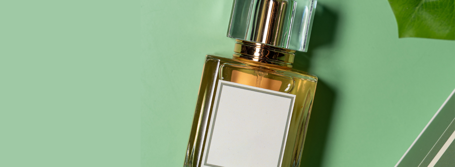 Elevate every mood with scent